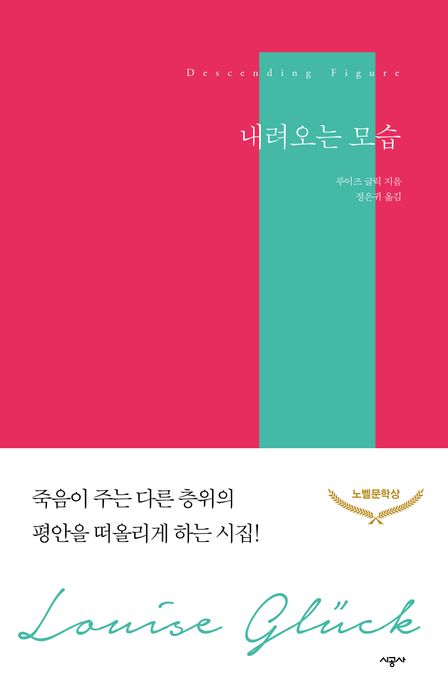 내려오는 모습 (죽음이 주는 다른 층위의 평안을 떠올리게 하는 시집) 표지