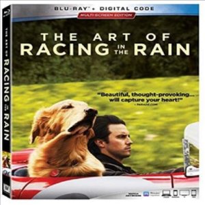 Art Of Racing In The Rain (아트 오브 레이싱 인 더 레인)(한글무자막)(Blu-ray)