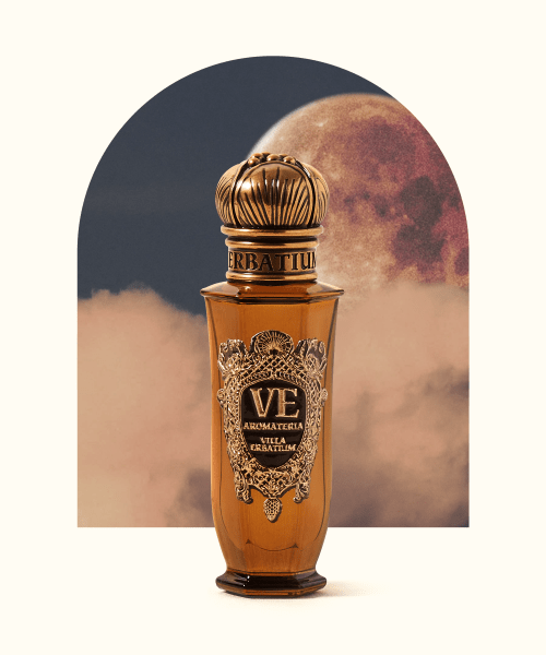 만월(Full Moon) 이미지
