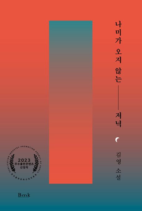 나미가 오지 않는 저녁 (김영 소설)