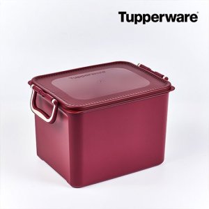 타파웨어 시그니처 김치 키퍼 10L 2개(4P) TV상품