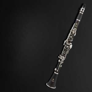 부페 클라리넷 프로디지 Buffet Bb Clarinet Prodige