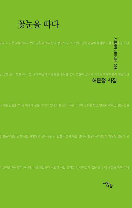 꽃눈을 따다  : 허문정 시집