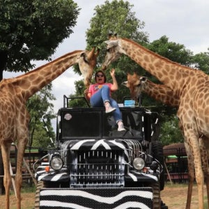 [E티켓 사용] 아유타야 동물원&사원 명소 투어 (태국 전통 의상 체험 포함)