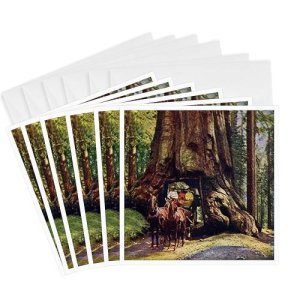 [아마존 공식]3dRose 요세미티의 빈티지 와와와나 나무 - 인사말 카드, 15.2 x 15.2 cm, 6개 세트 (gc_8512_1)