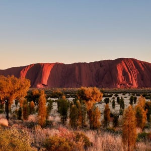 호주 울룰루 투어 2박 3일 (도미토리 숙소, 공항 왕복, 선셋 투어 등)