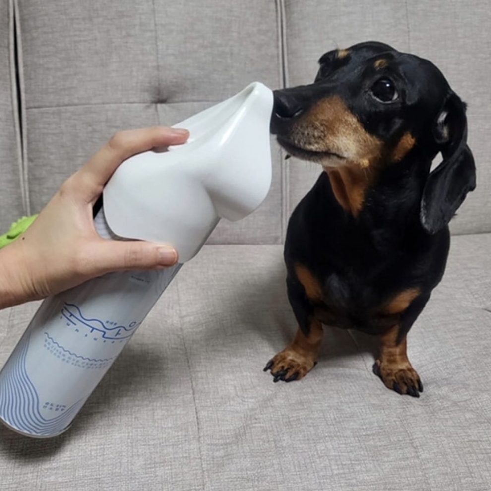 반려동물 응급처치 (Pet First Aid)