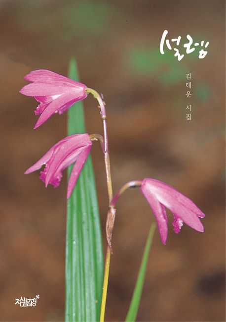 설렘