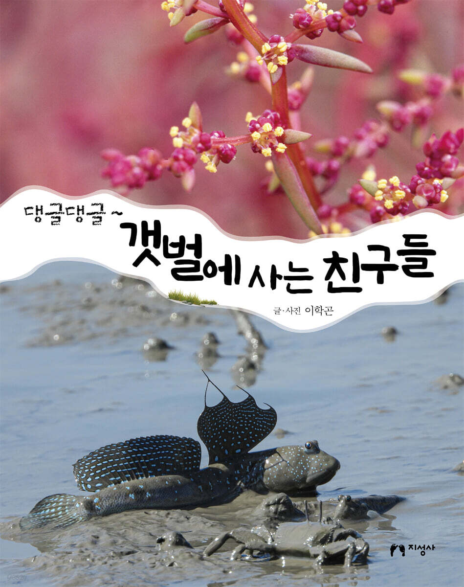 (댕글댕글~)갯벌에사는친구들