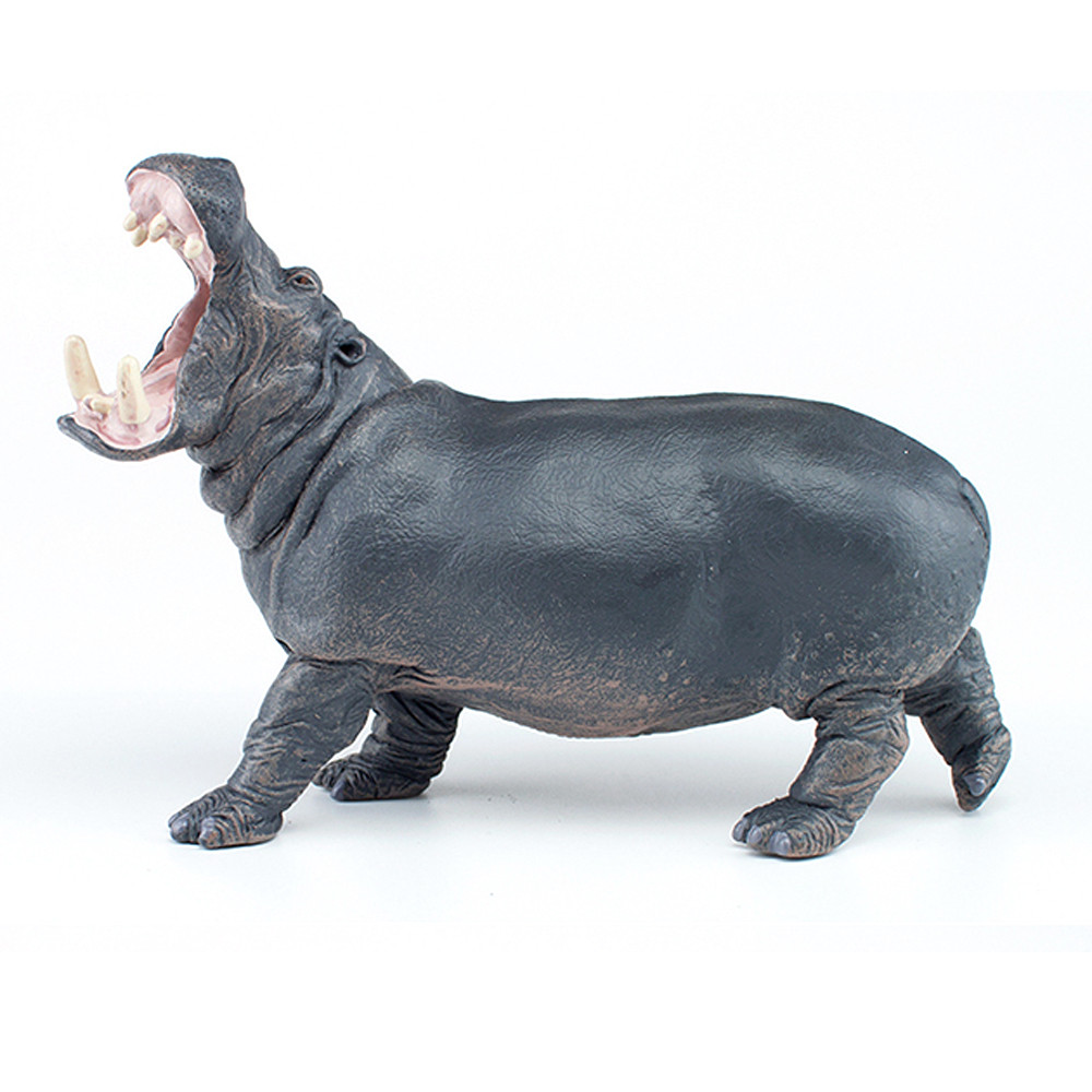 하마 (Hippo)