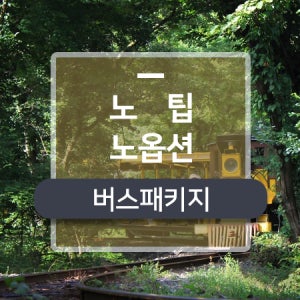 제주버스패키지 노팁노옵션여행 중식제공 공연관람 포함 매일출발