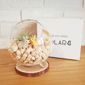 집들이 선물 테라리움 커플토끼+편백+공기정화식물, 착한하루