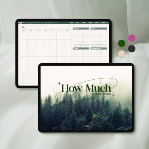 굿노트 1년 가계부 (만년형/4컬러 모두제공), 온마이웨이브 OMW