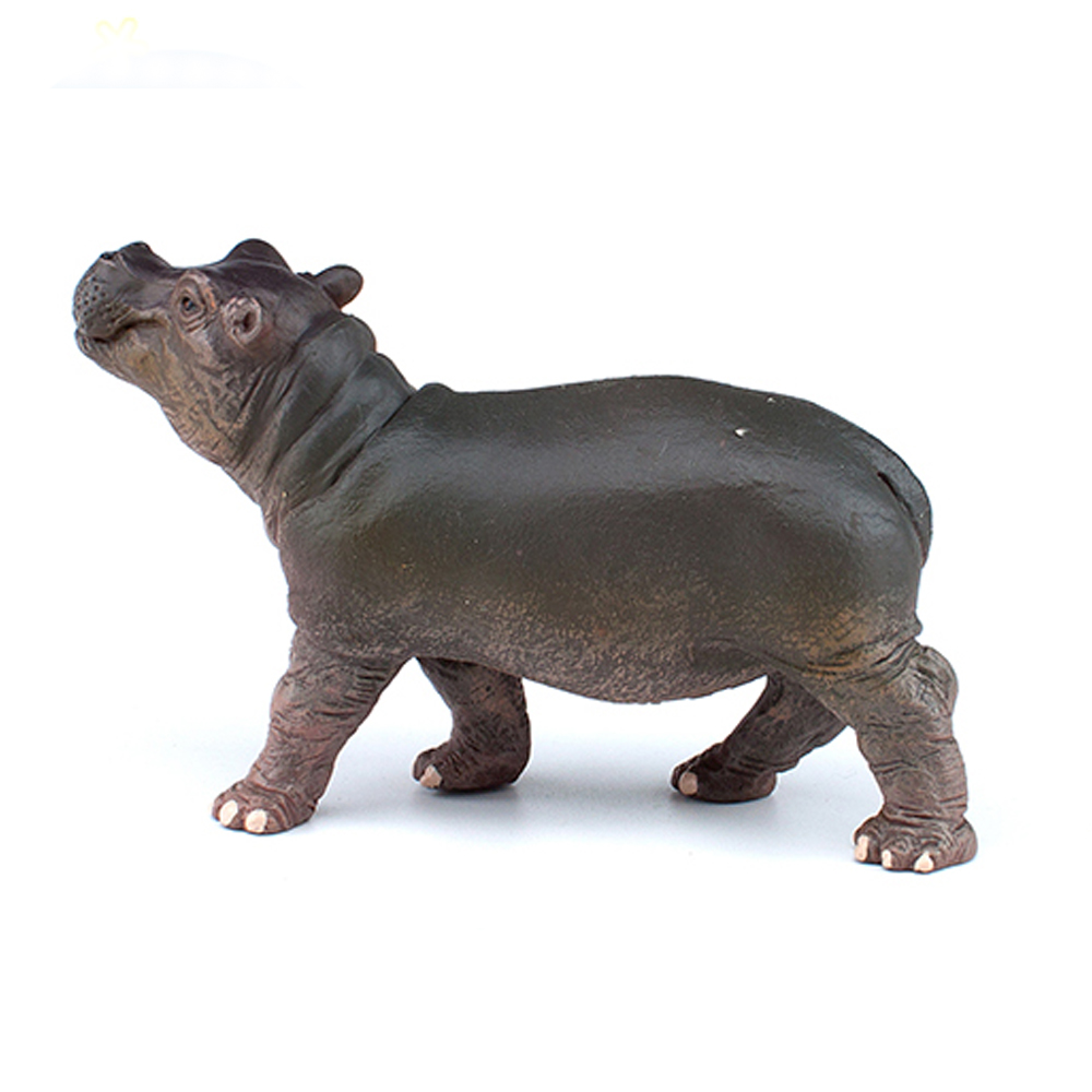하마 (Hippo)