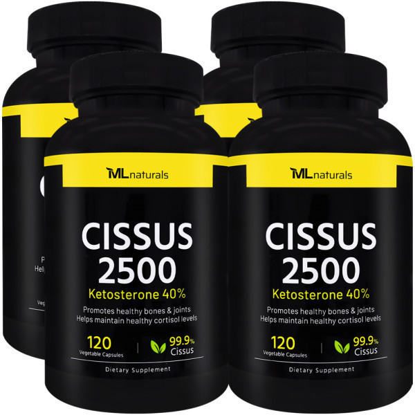 마이라이프내추럴스 4병 마이라이프 시서스 <b>Cissus</b> 2500 120 야채캡슐