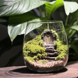 오크하우스 테라리움 DIY 키트, 어반스프롤 테라리움