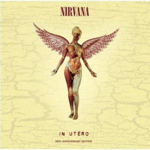 수입 Nirvana - In Utero 20th Anniversary Edition 너바나 - 인 유트로 20주년 기념 에디션