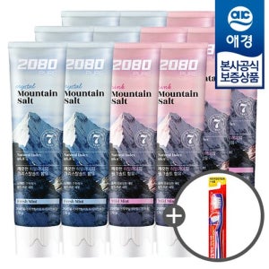 애경 2080 히말라야 마운틴 퓨어 솔트 치약 150g x12개 +칫솔1입 증정