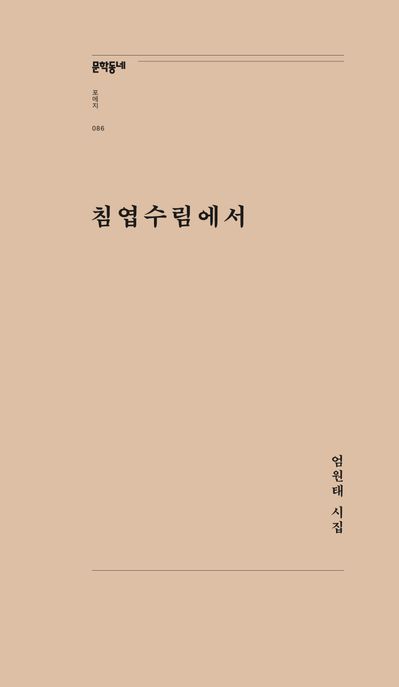 침엽수림에서 