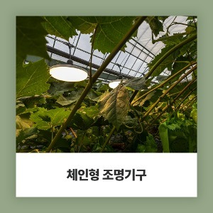 [AGF12증정이벤트] 히포<b>팜텍</b> 식물생장 LED 체인형조명기구 파티<b>라이트</b>