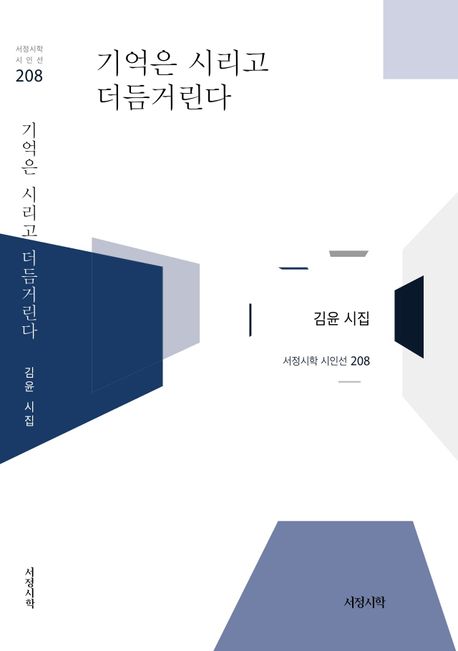 기억은 시리고 더듬거린다 : 김윤 시집