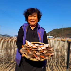 ★6천원할인★ 동해안 반건조 참가자미