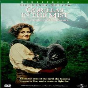 Gorillas in the Mist (정글 속의 고릴라) (1988)(지역코드1)(한글무자막)(DVD)