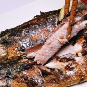 어획하자 마자 신선하게 급냉한 햇꽁치(급냉) 1kg