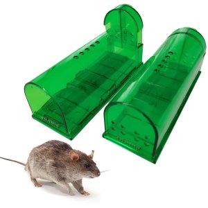 캐치 앤 릴리즈 마우스 트랩  투명한 소형 마우스 트랩  재사용 가능  가정용  야외  2 개