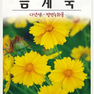 금계국 400립 도로조경용꽃씨 경관용 노지월동 아파트조경