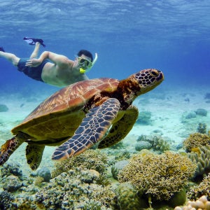 [호텔픽업] 세부&보홀 3박 4일 투어