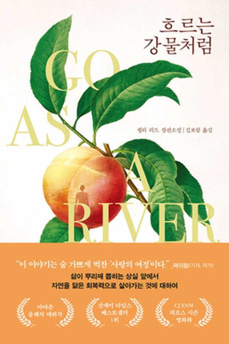 흐르는 강물처럼 : 셸리 리드 장편소설