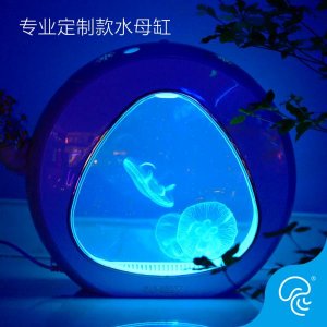Moonlight Jellyfish Live Introduction Jellyfish Tank Pet Mini Fish Tank Red Moon and Sea Moon Viewin