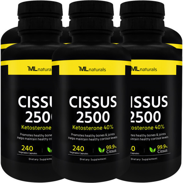 마이라이프내추럴스 6병 마이라이프 시서스 Cissus 2500 240 야채캡슐