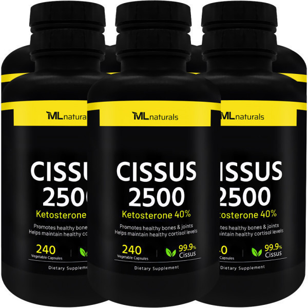 마이라이프내추럴스 6병 마이라이프 시서스 <b>Cissus</b> 2500 240 야채캡슐