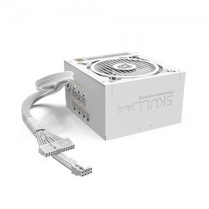 NEWZEN SKULL 850SM MODULAR ATX 3.0 80PLUS GOLD WHITE (PCIE5)