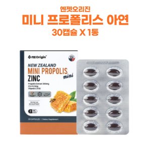 엔젯오리진4000프로폴리스 최저가 가성비상품