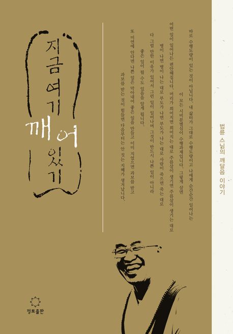 지금 여기 깨어 있기 : 법륜 스님의 깨달음 이야기 : 큰활자본