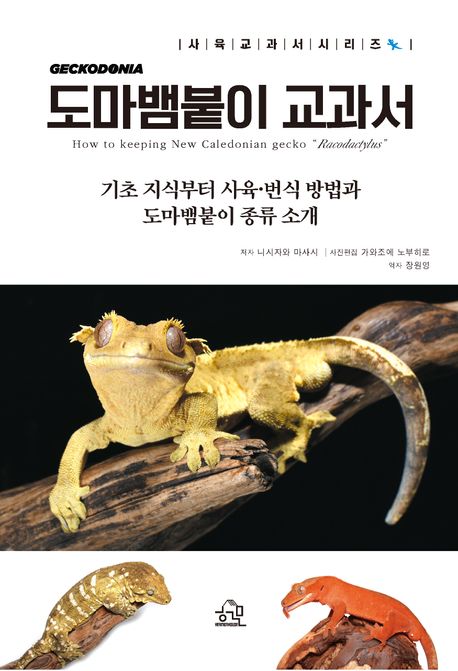 도마뱀붙이 교과서 : 기초 지식부터 사육·번식 방법과 도마뱀붙이 종류 소개