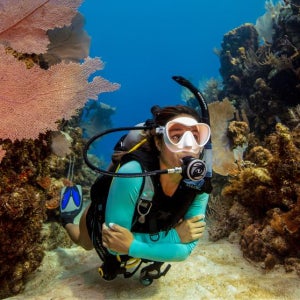 코론 PADI 체험 다이빙 (자격증 불필요 / PADI 다이빙 센터)