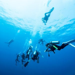 코론 난파선 어드밴스드 펀 다이빙 (자격증 필요 / PADI 센터)