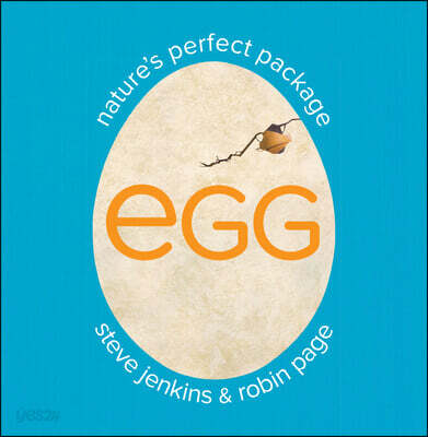Egg:naturesperfectpackage