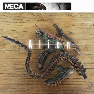 NECA Genuine Bulk Alien Body Parts Accessories Battle Damage Scene 8-inch Soldier Figure Genuine Mod