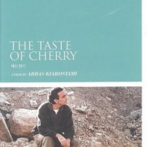 [DVD] 체리 향기 [THE TASTE OF CHERRY]- 압바스키아로스타미