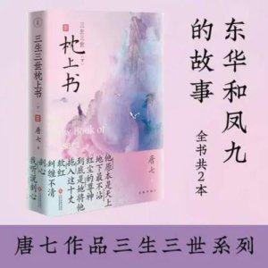 Samsara 책  성인 popluar 소설 불멸 사랑 이야기 Sanshengsanshi 시리즈 Tangqigongzi 2 권