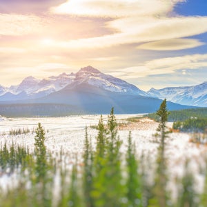 캐나다 미국여행 패키지 여행 맛집 투어 완전일주