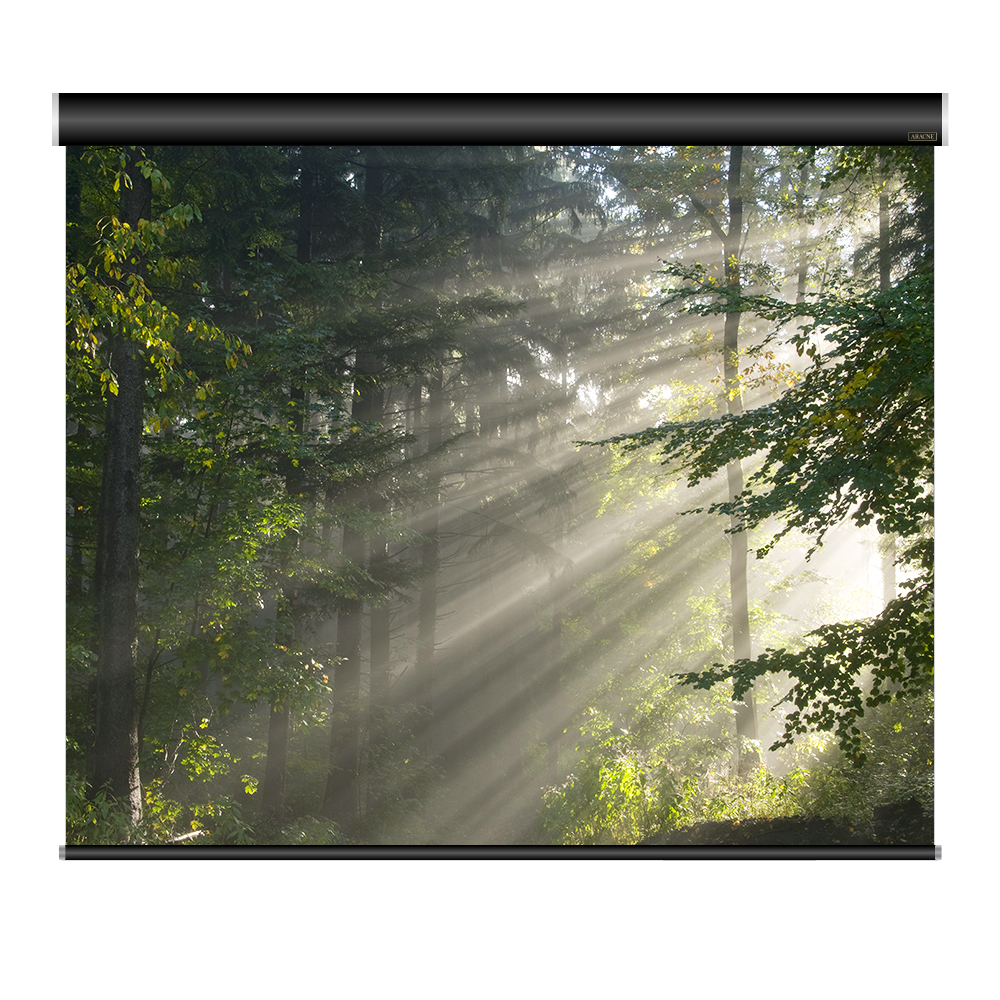 아라크네 블랙프리미엄 리모컨포함 전동스크린