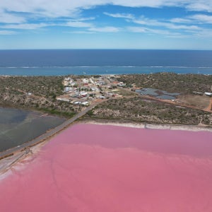 서호주 핑크 레이크 3일 투어 (중국어/광둥어)