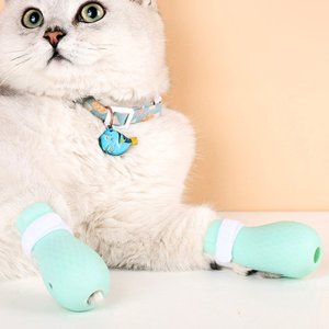 고래상상 고양이 실리콘 양말 발커버 애묘 고양이용 발보호