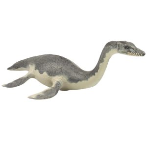 7살 남아 쥐라기 시대 해양 공룡 플레시오사우르스 모형 어린이병원 진화